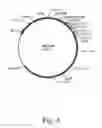 Fig. 05 - Methods for producing secreted polypeptides