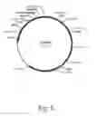 Fig. 06 - Methods for producing secreted polypeptides