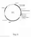 Fig. 07 - Methods for producing secreted polypeptides