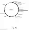 Fig. 11 - Methods for producing secreted polypeptides