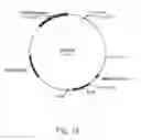 Fig. 16 - Methods for producing secreted polypeptides