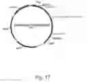 Fig. 19 - Methods for producing secreted polypeptides