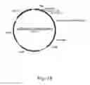 Fig. 20 - Methods for producing secreted polypeptides