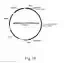 Fig. 21 - Methods for producing secreted polypeptides