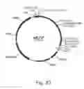 Fig. 22 - Methods for producing secreted polypeptides