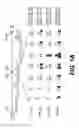 Fig. 02 - Lentiviral triplex DNA, and vectors and recombinant cells containing lentiviral triplex DNA