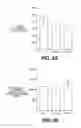 Fig. 04 - Lentiviral triplex DNA, and vectors and recombinant cells containing lentiviral triplex DNA