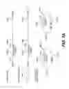 Fig. 06 - Lentiviral triplex DNA, and vectors and recombinant cells containing lentiviral triplex DNA