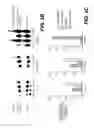 Fig. 07 - Lentiviral triplex DNA, and vectors and recombinant cells containing lentiviral triplex DNA