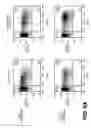 Fig. 16 - Lentiviral triplex DNA, and vectors and recombinant cells containing lentiviral triplex DNA