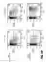 Fig. 17 - Lentiviral triplex DNA, and vectors and recombinant cells containing lentiviral triplex DNA