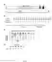 Fig. 02 - Modular DNA-binding domains and methods of use