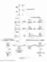 Fig. 13 - Glycosylation engineering of antibodies for improving antibody-dependent cellular cytotoxicity