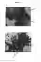 Fig. 12 - Tubular bioreactor system for use in bone and cartilage tissue engineering