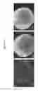 Fig. 14 - Tubular bioreactor system for use in bone and cartilage tissue engineering