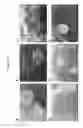Fig. 19 - Tubular bioreactor system for use in bone and cartilage tissue engineering
