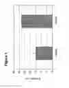 Fig. 02 - Undifferentiated stem cell culture systems