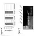 Fig. 18 - Undifferentiated stem cell culture systems
