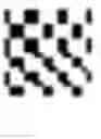 Fig. 02 - Harnessing cell dynamics to engineer materials