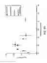 Fig. 06 - Harnessing cell dynamics to engineer materials