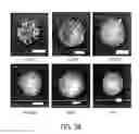 Fig. 08 - Harnessing cell dynamics to engineer materials