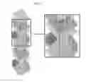 Fig. 03 - Nanotopographic compositions and methods for cellular organization in tissue engineered structures