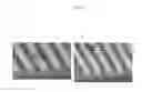Fig. 06 - Nanotopographic compositions and methods for cellular organization in tissue engineered structures