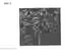 Fig. 03 - Carrier peptide fragment and use thereof