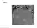 Fig. 05 - Carrier peptide fragment and use thereof