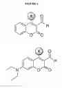 Fig. 05 - Compositions and methods for the detection of chemical warfare agents