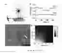 Fig. 04 - Devices and Methods for Detection of Biomolecular Interactions