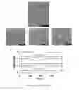 Fig. 05 - Devices and Methods for Detection of Biomolecular Interactions