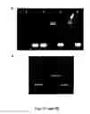 Fig. 06 - Devices and Methods for Detection of Biomolecular Interactions