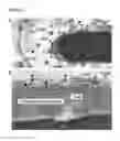 Fig. 07 - Method of identifying compounds that inhibit fertilization