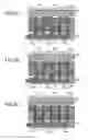 Fig. 05 - Method of manufacturing semiconductor device