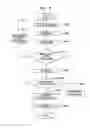 Fig. 08 - Method for inspecting substrate, substrate inspection apparatus, exposure system, and method for producing semiconductor device