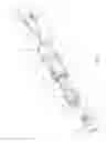 Fig. 02 - Connector having a nut-body continuity element and method of use thereof