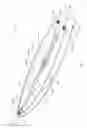 Fig. 02 - PADDLEBOARD