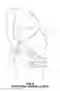 Fig. 07 - Single piece abdominal support garment