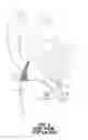 Fig. 08 - Single piece abdominal support garment