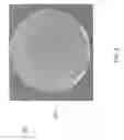 Fig. 03 - Abrasive tool with flat and consistent surface topography for conditioning a CMP pad and method for making