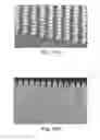 Fig. 14 - Abrasive article with array of composite polishing pads