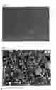 Fig. 03 - Silicate composite polishing pad