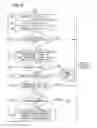 Fig. 05 - Wireless communication apparatus changing radiation patterns of antenna apparatuses