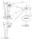 Fig. 01 - Weighing device and method