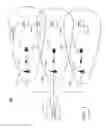 Fig. 02 - Method and apparatus for synchronizing multiple transmitters