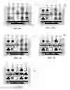 Fig. 04 - Gaming systems, apparatuses and methods employing partial winning combination features