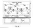 Fig. 07 - SYSTEM AND METHOD FOR TOURNAMENT GAMING USING SOCIAL NETWORK BASED TEAM FORMATION
