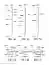 Fig. 20 - HYDROPLANE SPORTING ENVIRONMENT AND DEVICES AND METHODS THEREFOR