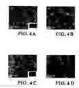 Fig. 04 - High surface area, electrically conductive nanocarbon-supported metal oxide